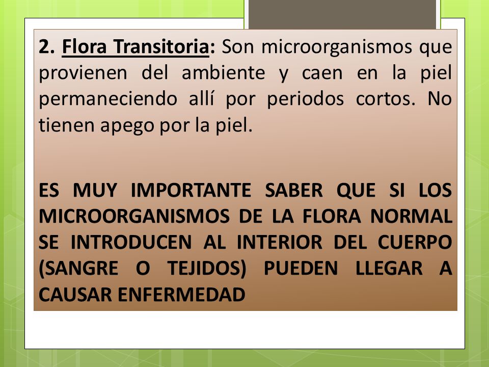 La caída de los cabello mucho